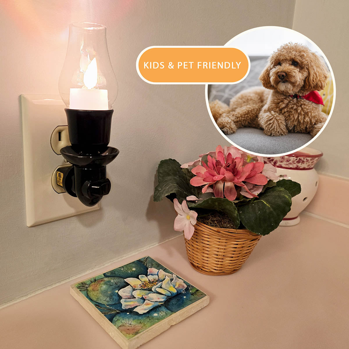 LAMP BUNDLE