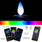 LAMP BUNDLE